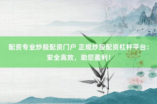 配资专业炒股配资门户 正规炒股配资杠杆平台:安全高效,助您盈利!