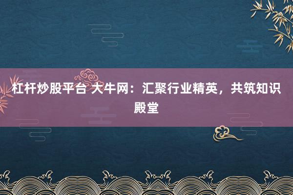 杠杆炒股平台 大牛网：汇聚行业精英，共筑知识殿堂