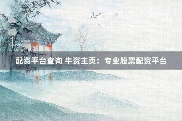 配资平台查询 牛资主页：专业股票配资平台