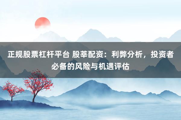 正规股票杠杆平台 股莘配资：利弊分析，投资者必备的风险与机遇评估
