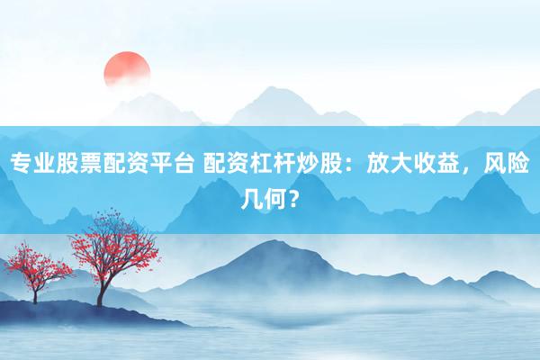 专业股票配资平台 配资杠杆炒股：放大收益，风险几何？