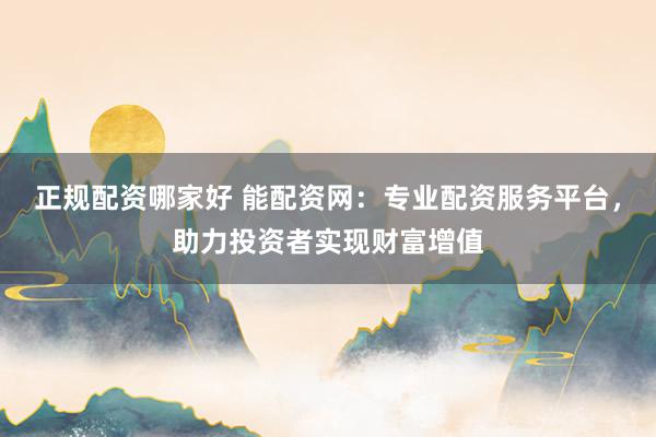 正规配资哪家好 能配资网：专业配资服务平台，助力投资者实现财富增值