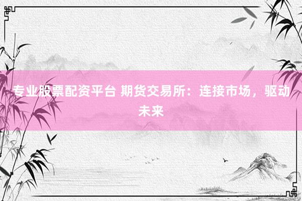 专业股票配资平台 期货交易所：连接市场，驱动未来
