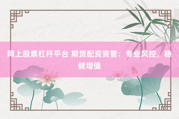 网上股票杠杆平台 期货配资资管:专业风控,稳健增值