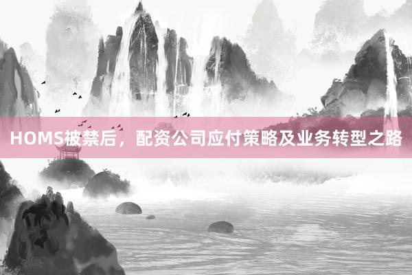 HOMS被禁后，配资公司应付策略及业务转型之路