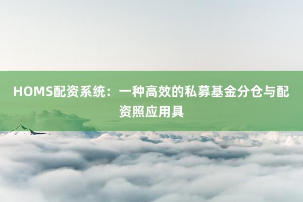 HOMS配资系统：一种高效的私募基金分仓与配资照应用具