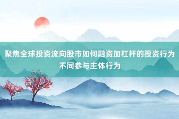 聚焦全球投资流向股市如何融资加杠杆的投资行为不同参与主体行为