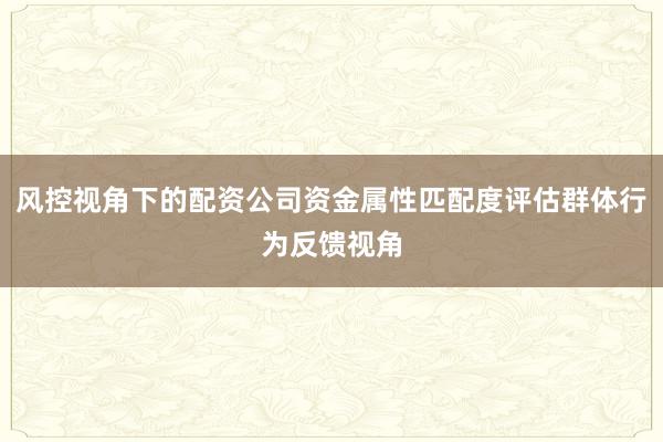 风控视角下的配资公司资金属性匹配度评估群体行为反馈视角