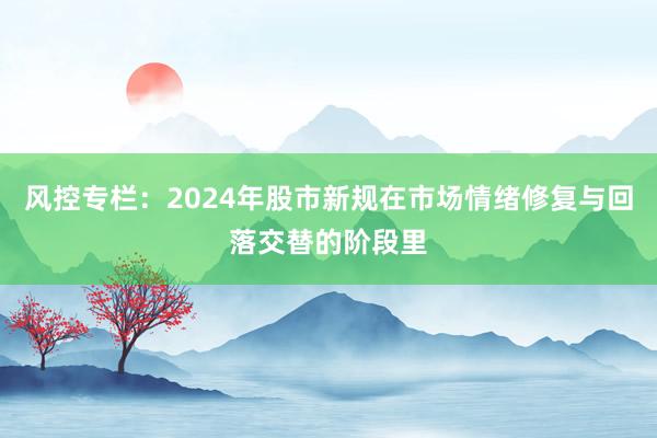风控专栏：2024年股市新规在市场情绪修复与回落交替的阶段里