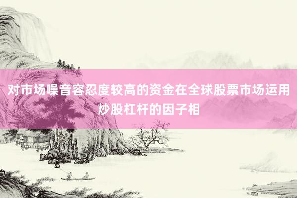 对市场噪音容忍度较高的资金在全球股票市场运用炒股杠杆的因子相