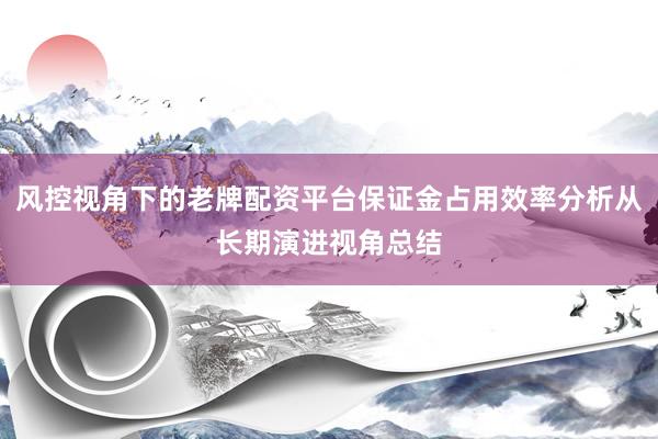 风控视角下的老牌配资平台保证金占用效率分析从长期演进视角总结