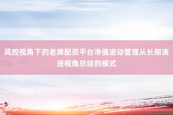 风控视角下的老牌配资平台净值波动管理从长期演进视角总结的模式