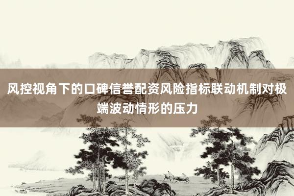 风控视角下的口碑信誉配资风险指标联动机制对极端波动情形的压力
