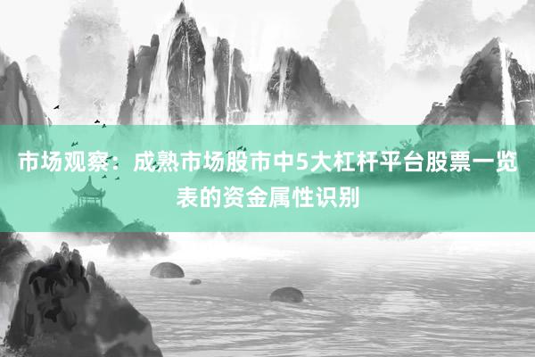 市场观察：成熟市场股市中5大杠杆平台股票一览表的资金属性识别