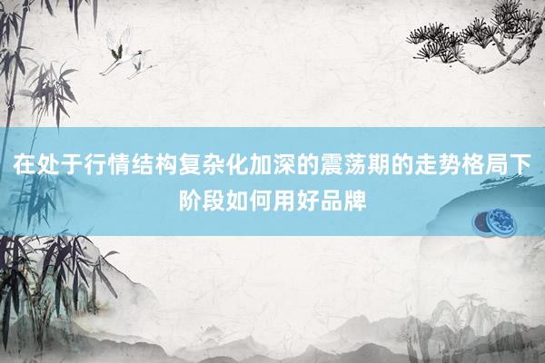 在处于行情结构复杂化加深的震荡期的走势格局下阶段如何用好品牌