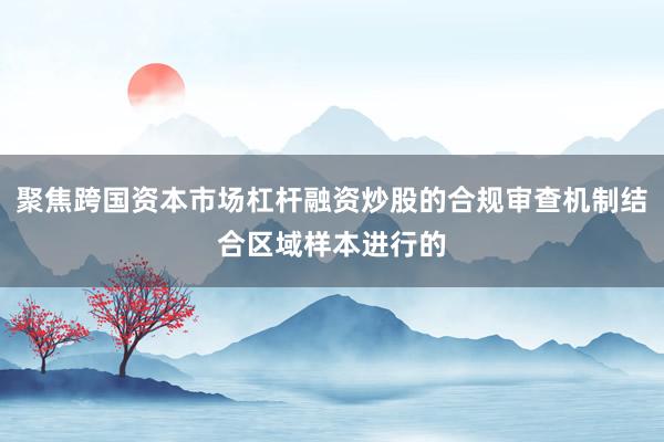 聚焦跨国资本市场杠杆融资炒股的合规审查机制结合区域样本进行的