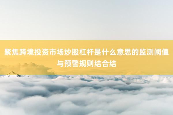 聚焦跨境投资市场炒股杠杆是什么意思的监测阈值与预警规则结合结