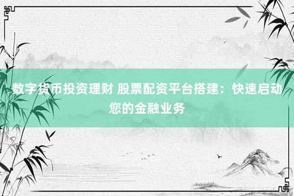 数字货币投资理财 股票配资平台搭建：快速启动您的金融业务