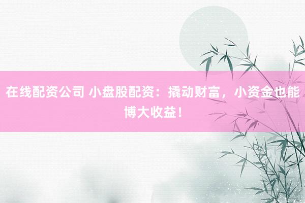 在线配资公司 小盘股配资：撬动财富，小资金也能博大收益！